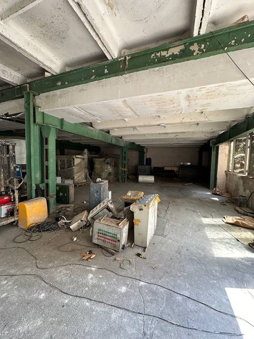 Pilita pines Balkan kalona ferma пнес балка калона ферма