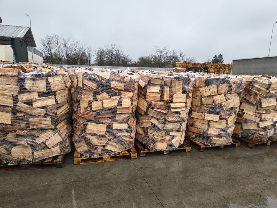 Lemn de Fag pentru Foc