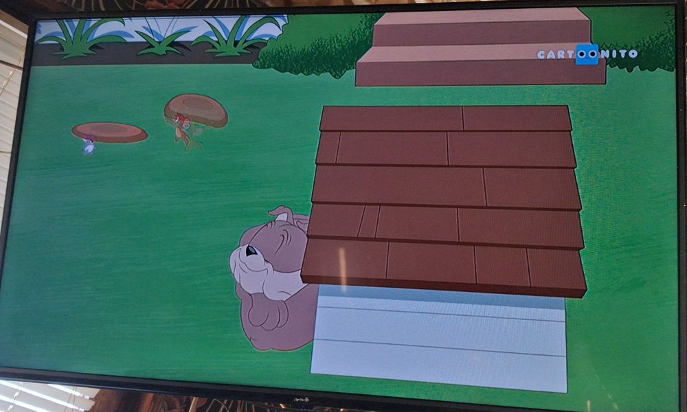 Телевизор Arielli 43inch