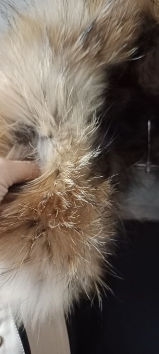 Зимный плащ парка