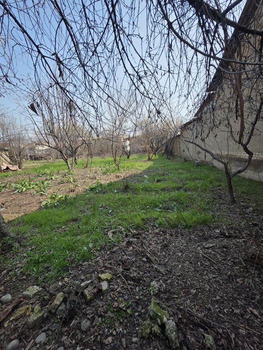 Кибрай тумани Қипчоқ маҳалласида 7 сотихли ер участкаси сотилади.