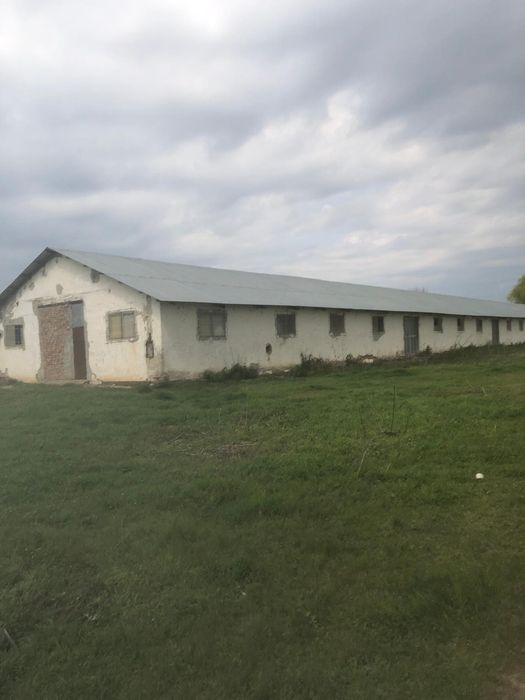 Hala de vanzare Slobozia Conachi