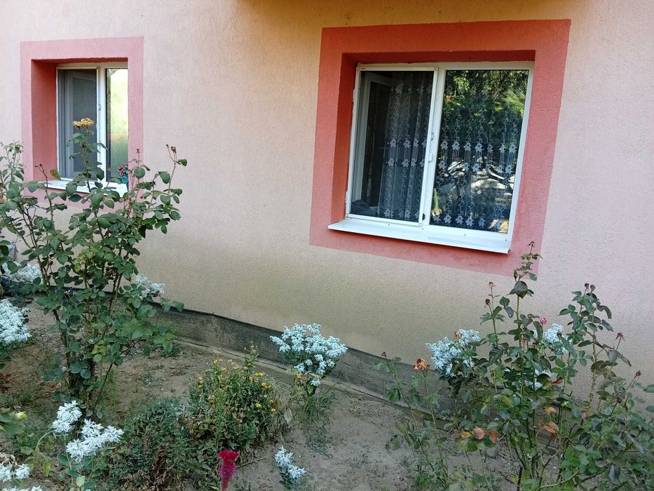 Apartament dinias