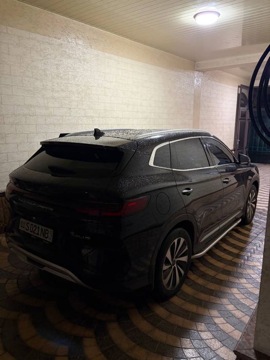 Byd chempion 2024