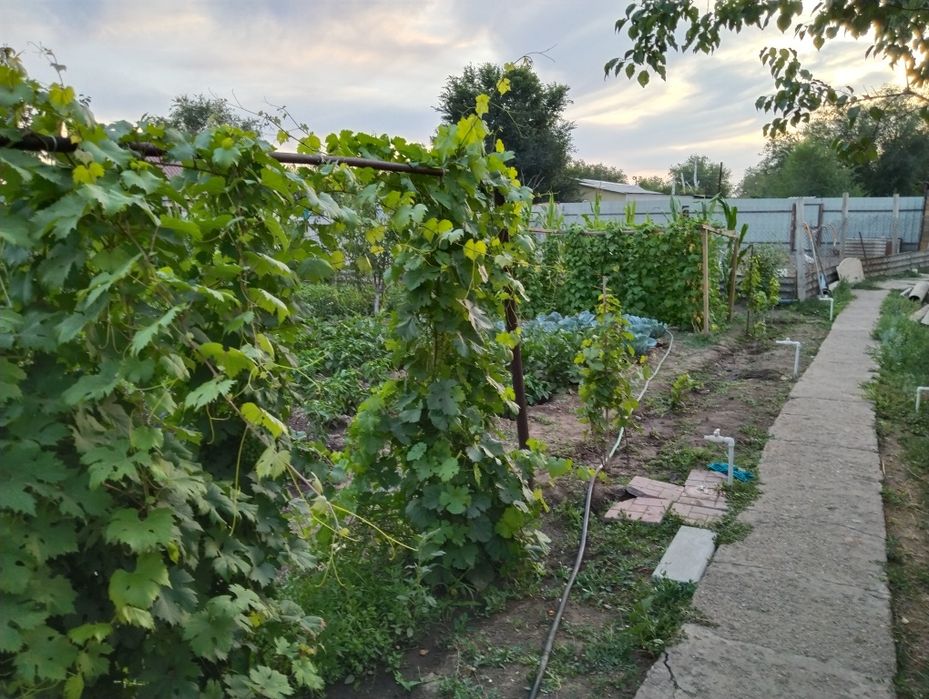 Продам дом 12 соток земли