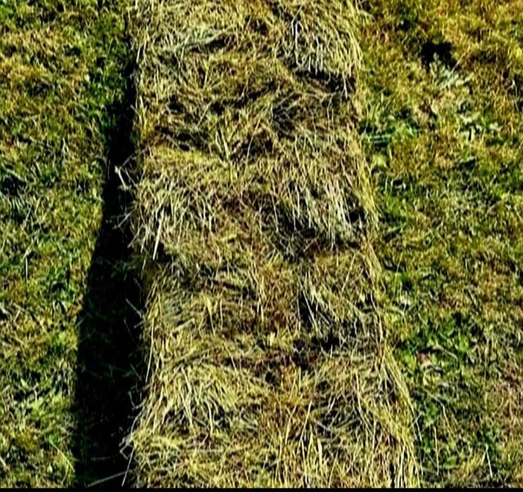 Baloti fan de gradina