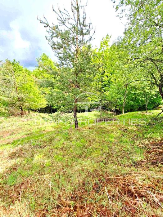 Продава се Парцел в Асеновград - 4700 кв.м за 24 €/кв.м - Снимка #5