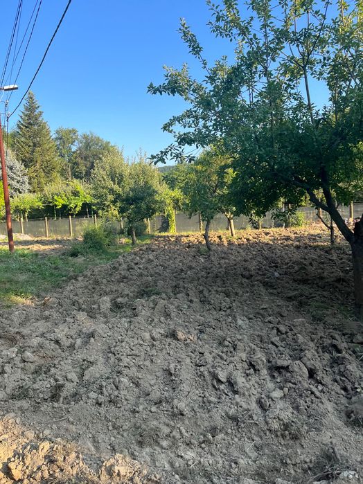 Дворно място на 20 км от Велико Търново