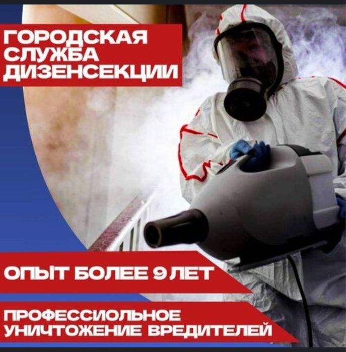 Обработка от клопов. Дезинфекция, дезинсекция, дератизация. Клопы 24/7