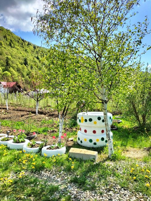 Închiriez căsuța în regim hotelier