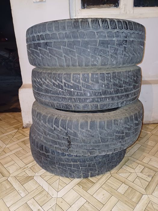 Балон зимний   кобальттыкы