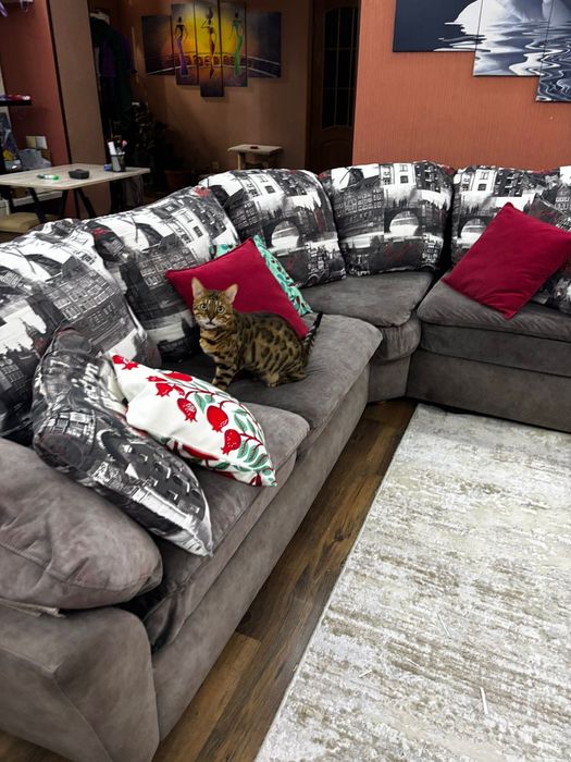 Угловой диван  с креслом