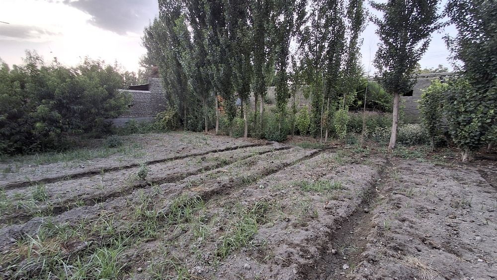 Uchastka sotiladi 12 sotix