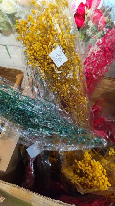 Сух гипсофил връзка