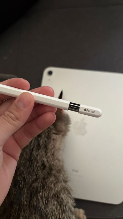 Ipad 10 го поколения