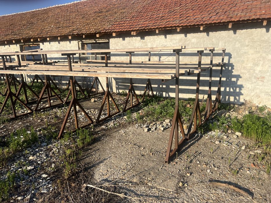 Храст боровинка