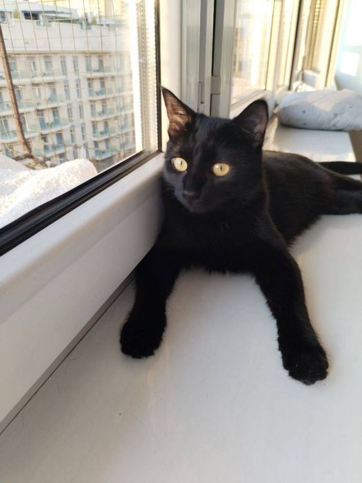 Дуся в поиске семьи! Ташкент!