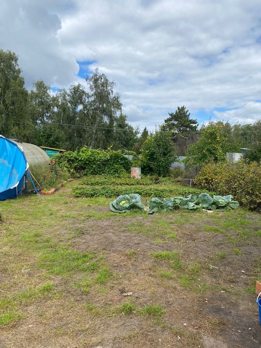 Продам дом , дача.