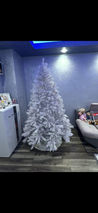 Коледна елха 2м. Без забележка!