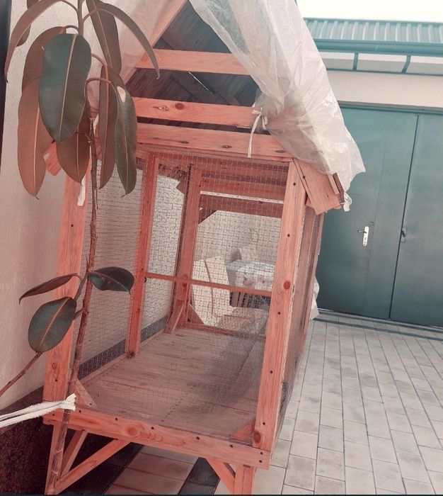 Qush va tovuq qafasi