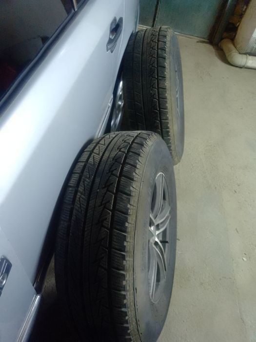 Срочна. Шина. Сатылады