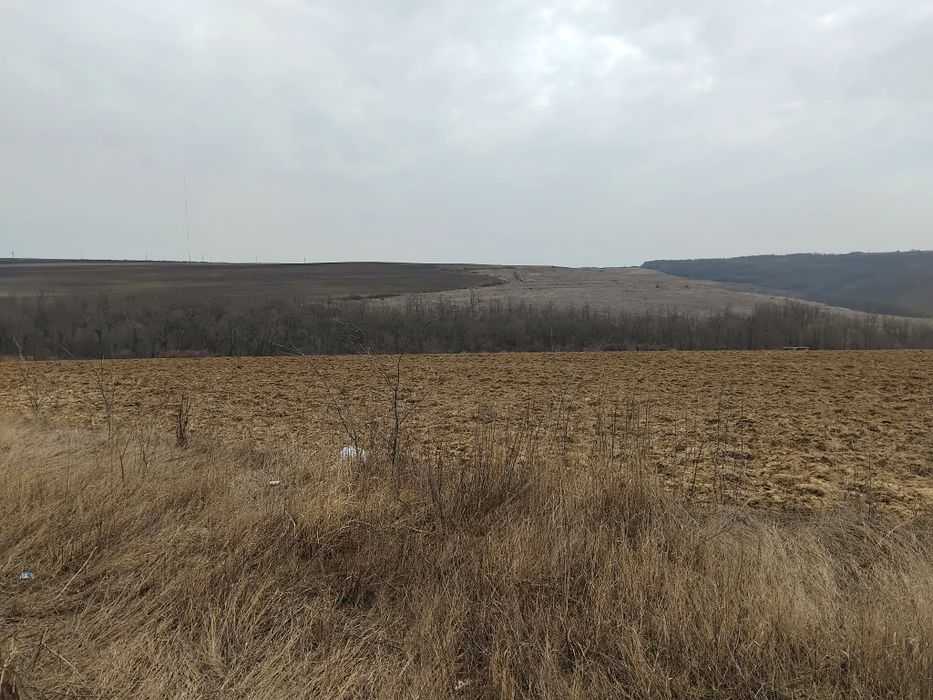 Teren 12 ha DN11A Podu Turcului–Căbești/ideal fermă,hale,fotovoltaic