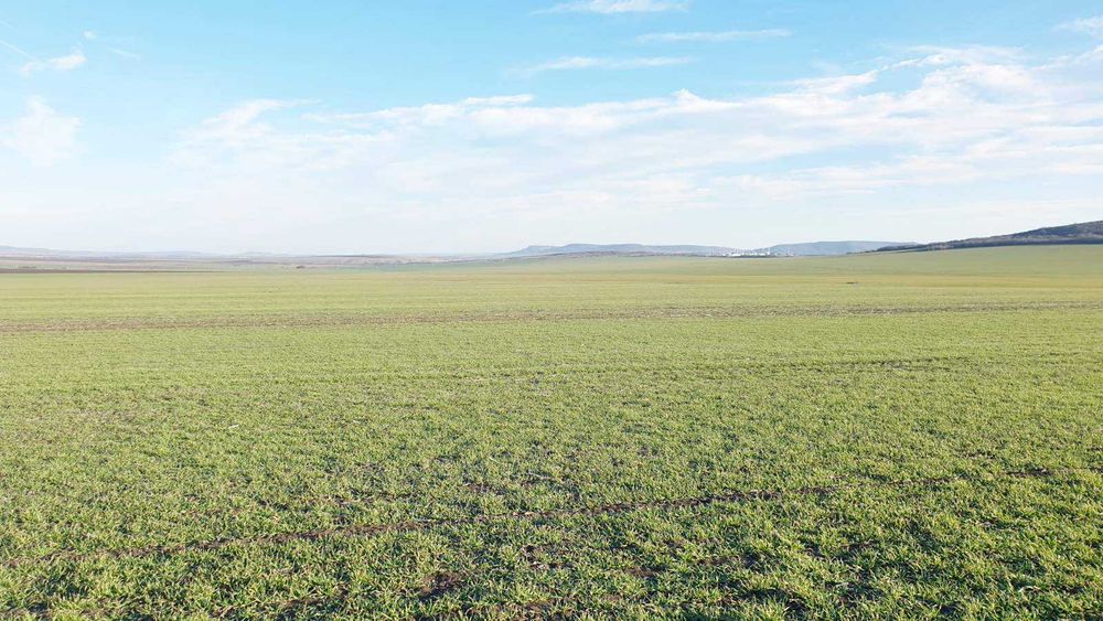 Продава се Земеделски имот в Разград, Промишлена зона - Изток -  кв.м за 488 €/дка - Снимка #2