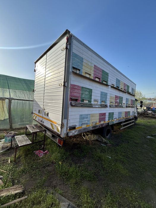 Camion apicol cu 72 de lazi pe pat cald