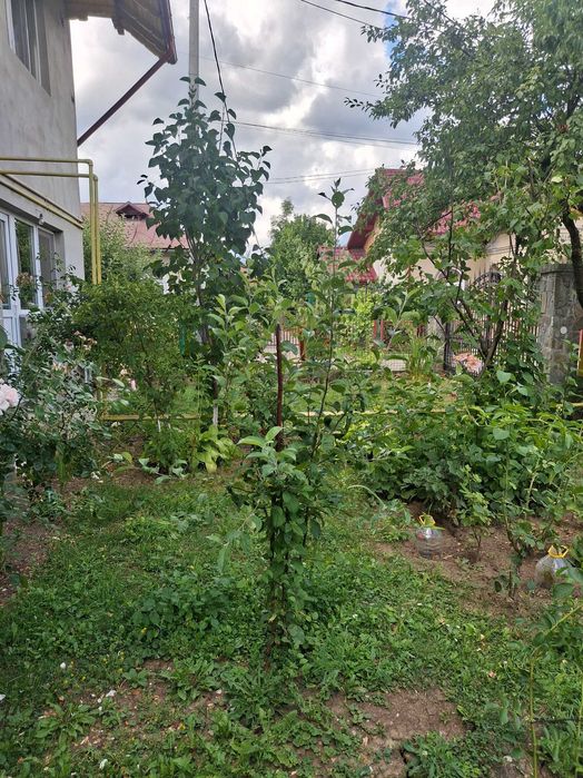 Casa de închiriat,comuna Brebu, județul Prahova