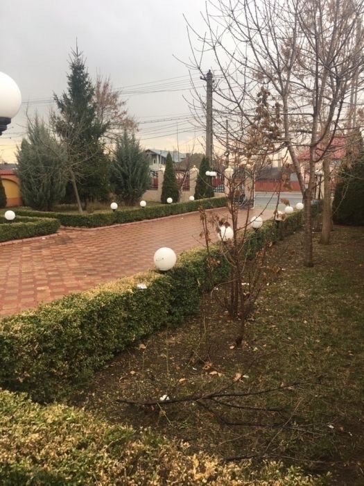 Vanzare Vila Prezidentiala - Dn1b