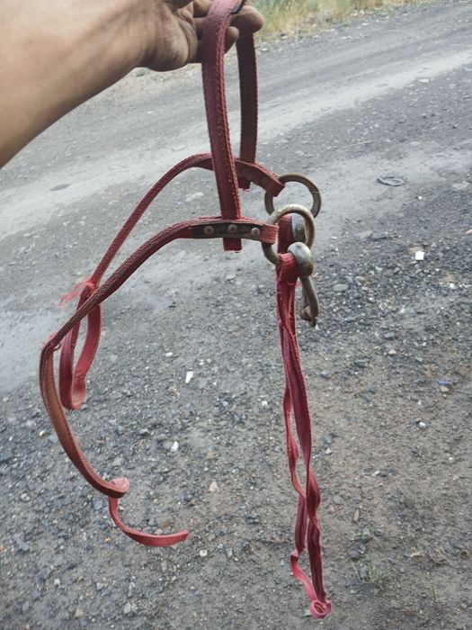 Продам уздечку для лошади
