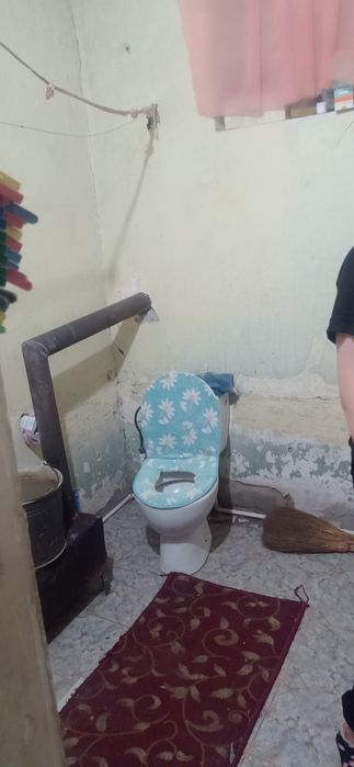 Богот центр навойи курпс