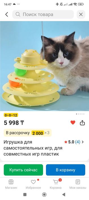 Отдаю кота бесплатно
