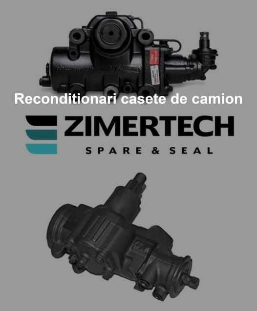 Reparatie caseta directie