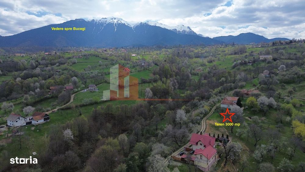 Teren Premium În Bran – Sohodol | 3000 Mp Cu Panoramă Excepțională