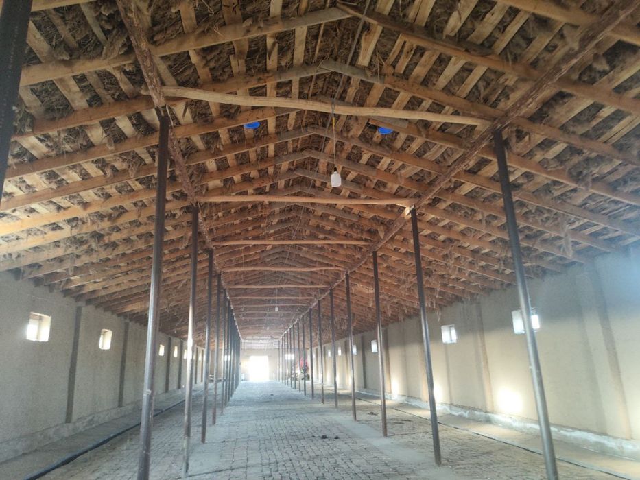 Паррандачилик ва Чорвачилик  фермаси сотилади