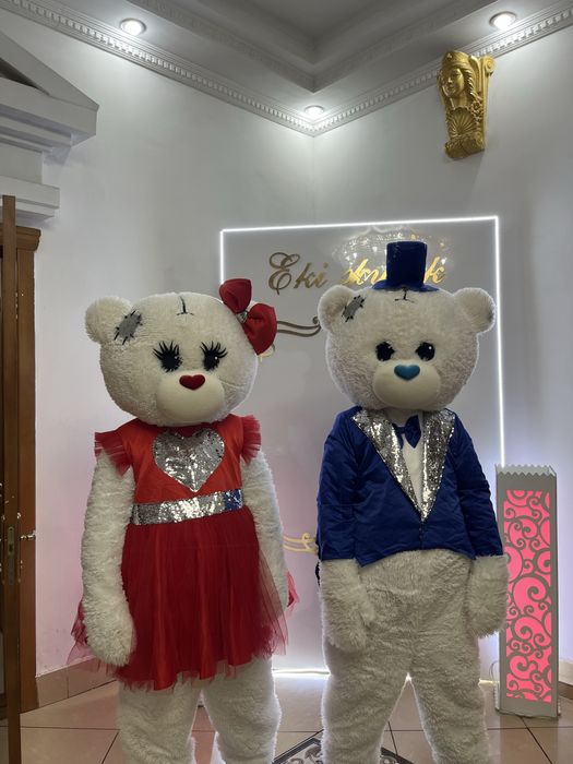 Аниматор костюм сатылады