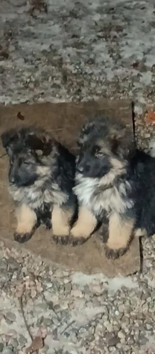 Продаётся стол .