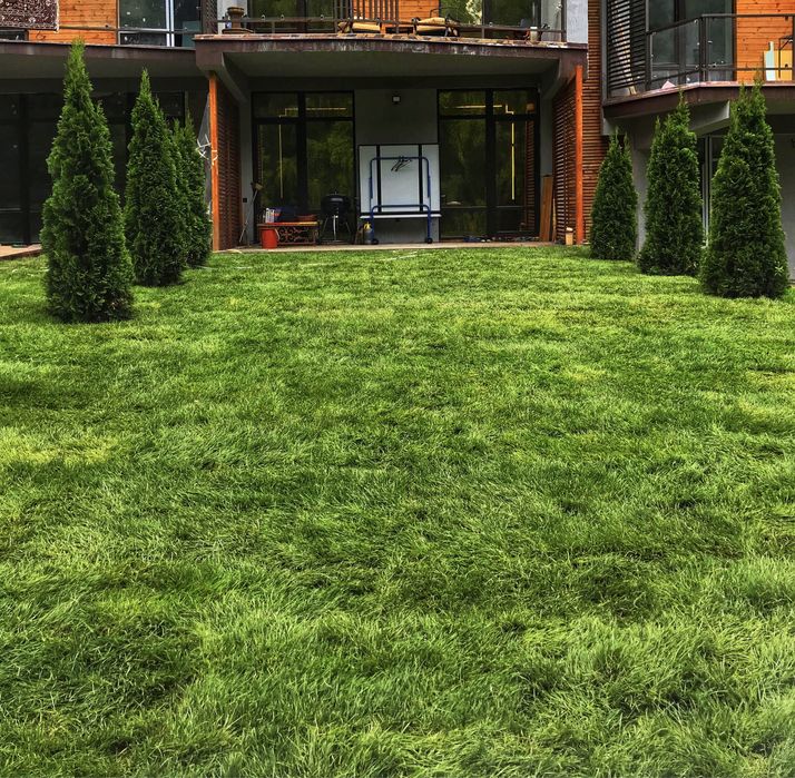 Рулонный газон под ключ
