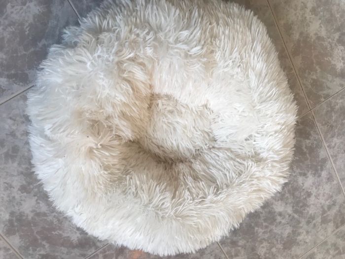 Продавам елегантно легло за котка