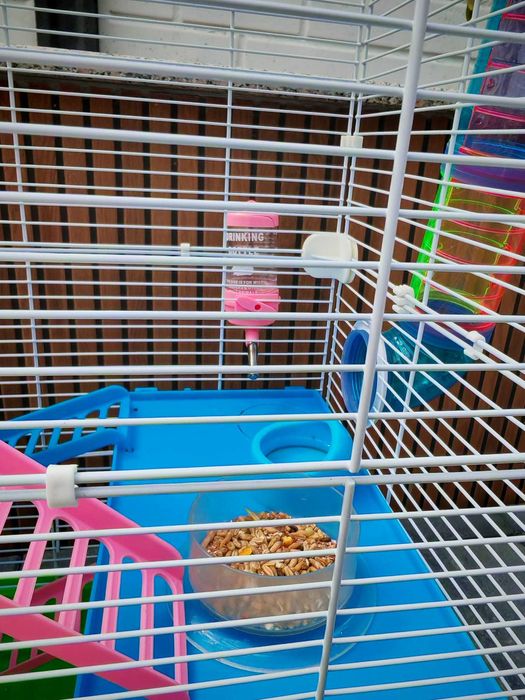 Cusca pentru hamster