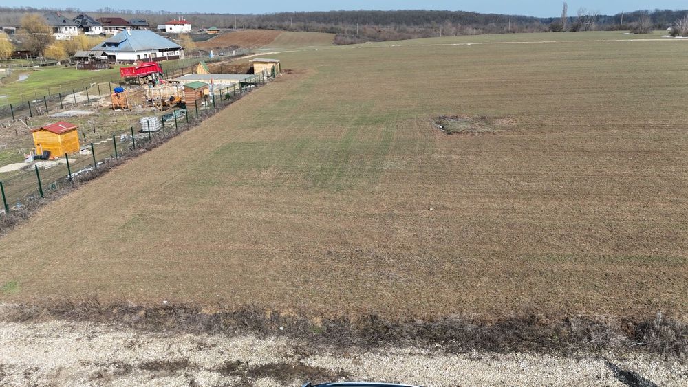 Teren Bălteni (Scroviștea) - Periș 1581 mp