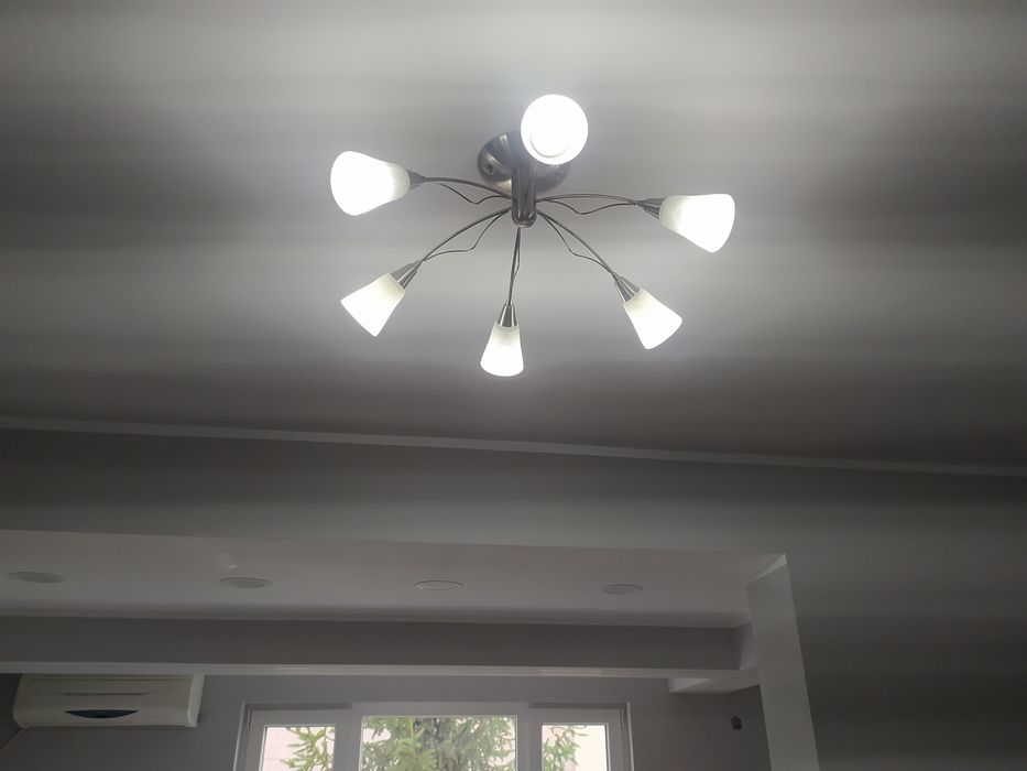 Иноксов Полюлей.