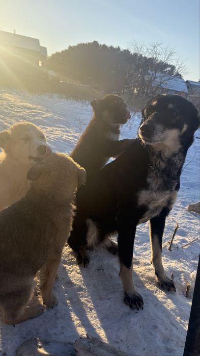 Молоденькая девочка