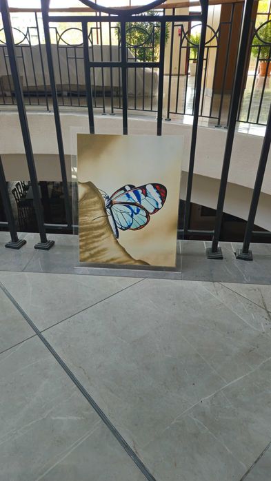 Разпродажба! Картини пеперуди