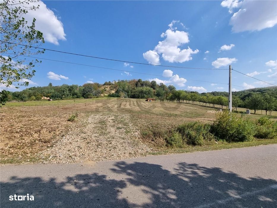 RECO Teren 8262 mp , Tileagd