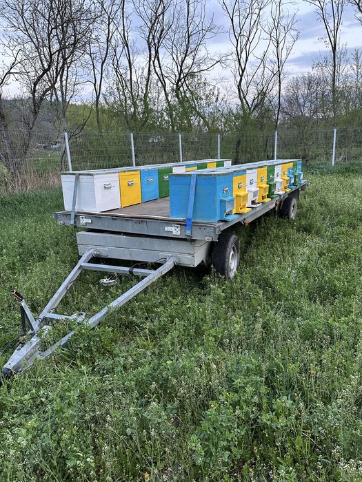 Schimb cu tractor 650