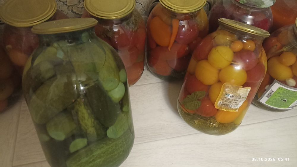 Соленья домашнее