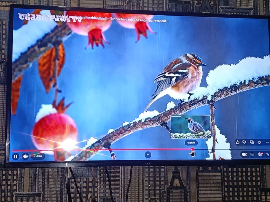 Телевизор Артел самсунг 50 тали смарт емас ишлаб зор ишлатиб турган те