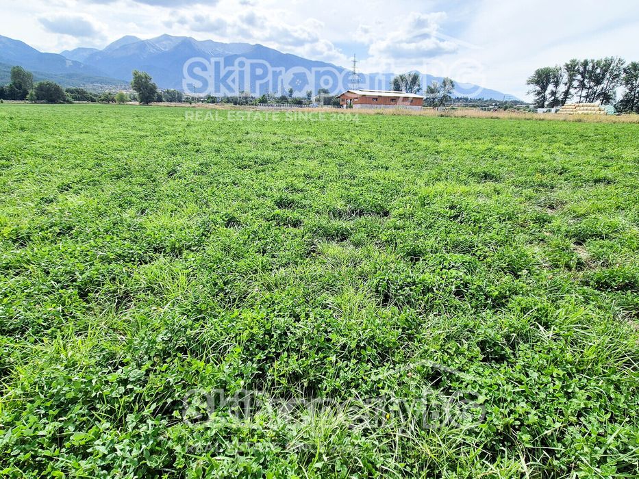 Предлагаме два съседни имота за продажба!